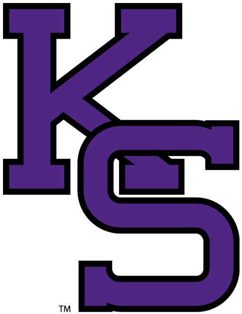 Kansas State Wildcats 0-Pres Cap Logo t shirts iron on transfers
